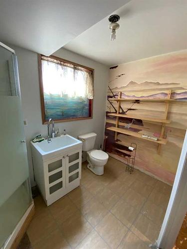 255-181043 550 Highway, Rural Newell, County Of, AB - Indoor Photo Showing Bathroom