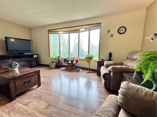 133004 535 Highway, Rural Newell, County Of, AB - Indoor Photo Showing Living Room