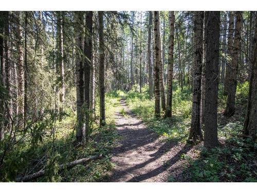 Range Road 43, Rural Mountain View County, AB - Outdoor With View