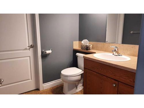 33 Garden Way, Drumheller, AB - Indoor Photo Showing Bathroom