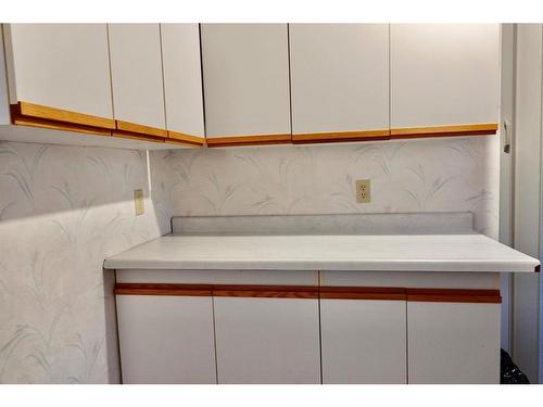 101 22 Street Nw, Drumheller, AB - Indoor Photo Showing Laundry Room