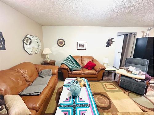 307 Mehl Place, Oyen, AB - Indoor Photo Showing Living Room