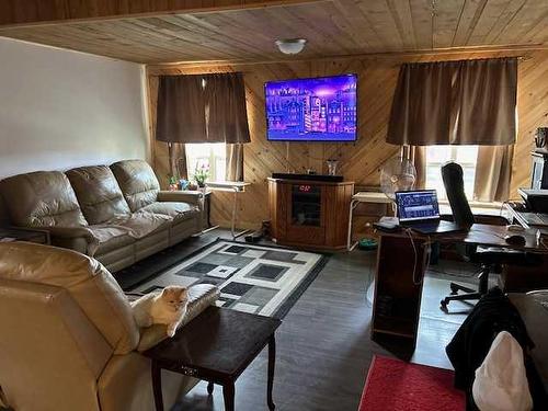 176 1 Avenue West, Tilley, AB - Indoor Photo Showing Living Room With Fireplace