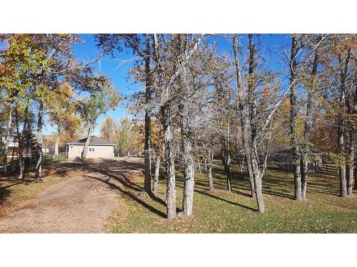 166 Railway Avenue, Drumheller, AB - Outdoor With View