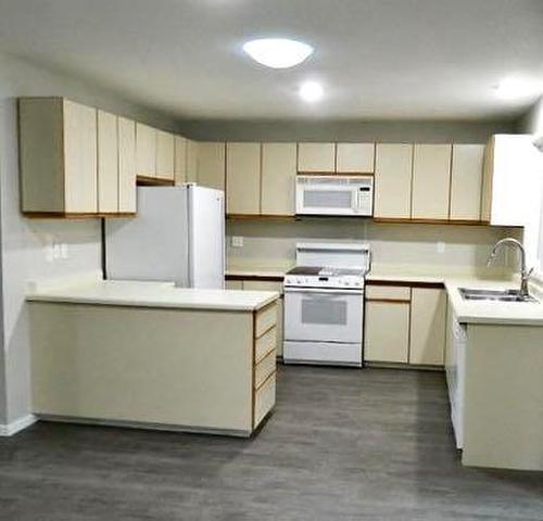 207 2 Avenue East, Oyen, AB - Indoor Photo Showing Kitchen