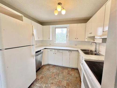 202 Main Street, Munson, AB - Indoor Photo Showing Kitchen With Double Sink