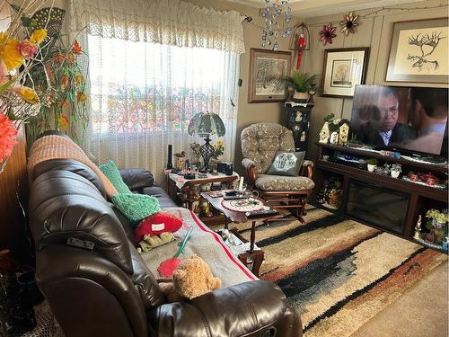 207 2 Avenue North, Morrin, AB - Indoor Photo Showing Living Room