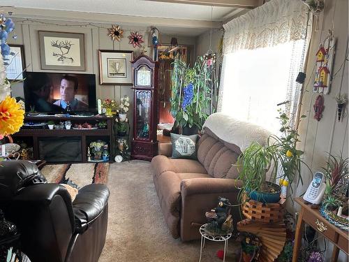 207 2 Avenue North, Morrin, AB - Indoor Photo Showing Living Room