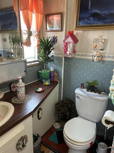 207 2 Avenue North, Morrin, AB - Indoor Photo Showing Bathroom