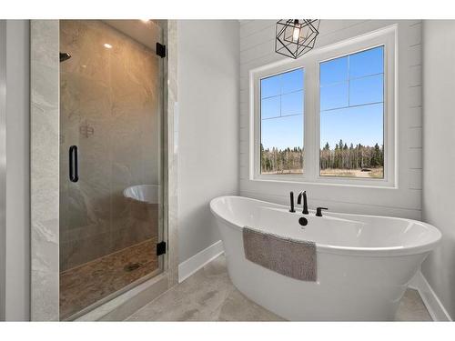 34446 Range Road 21, Rural Red Deer County, AB - Indoor Photo Showing Bathroom