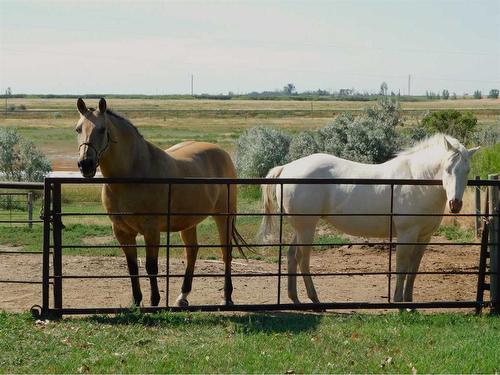 9 151025 Hwy 542, Rural Newell, County Of, AB - Outdoor With View