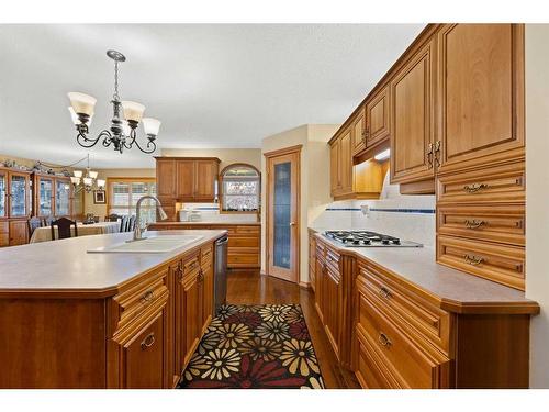 4737 49 Street, Olds, AB - Indoor Photo Showing Kitchen