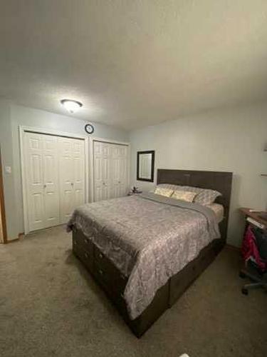 59 Lake Newell Crescent, Brooks, AB - Indoor Photo Showing Bedroom