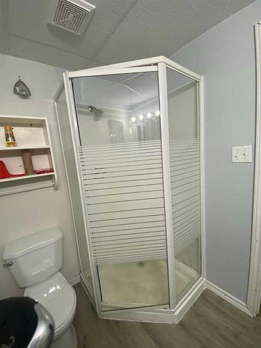 59 Lake Newell Crescent, Brooks, AB - Indoor Photo Showing Bathroom