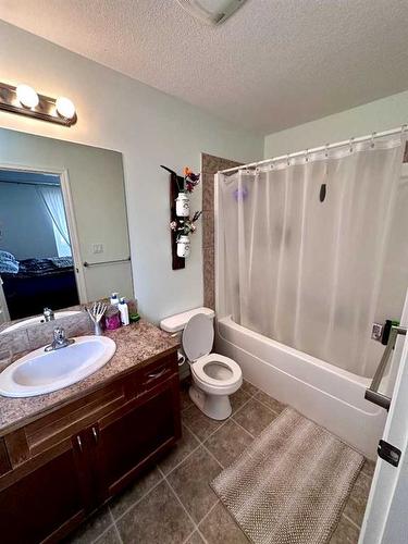 33 Sierra Drive, Olds, AB - Indoor Photo Showing Bathroom