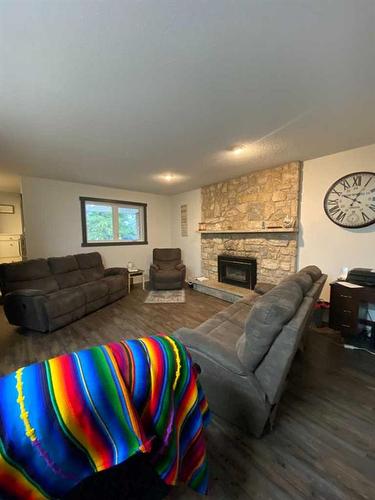 185001 Rr160, Rural Newell, County Of, AB - Indoor Photo Showing Living Room With Fireplace