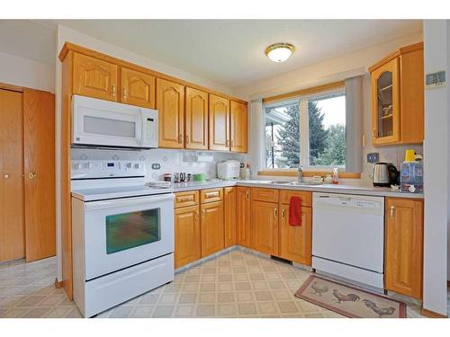 44 Greenbrook Way East, Brooks, AB - Indoor Photo Showing Kitchen