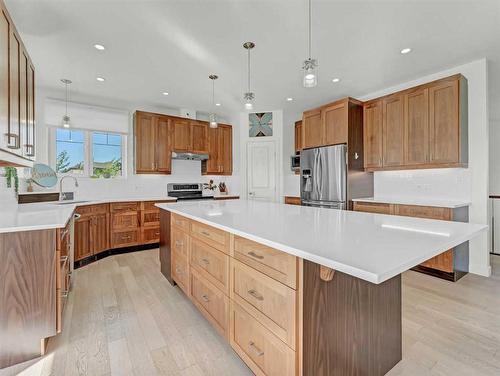 45-205010 Rr 145, Rural Newell, County Of, AB - Indoor Photo Showing Kitchen With Upgraded Kitchen