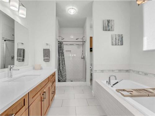 45-205010 Rr 145, Rural Newell, County Of, AB - Indoor Photo Showing Bathroom