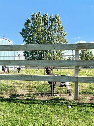 45-205010 Rr 145, Rural Newell, County Of, AB - Outdoor With View