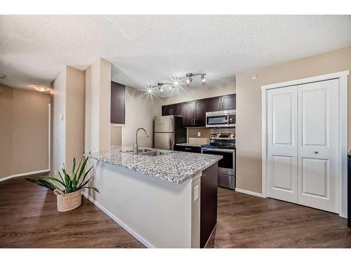 2418-81 Legacy Boulevard Se, Calgary, AB - Indoor Photo Showing Kitchen With Stainless Steel Kitchen With Double Sink With Upgraded Kitchen