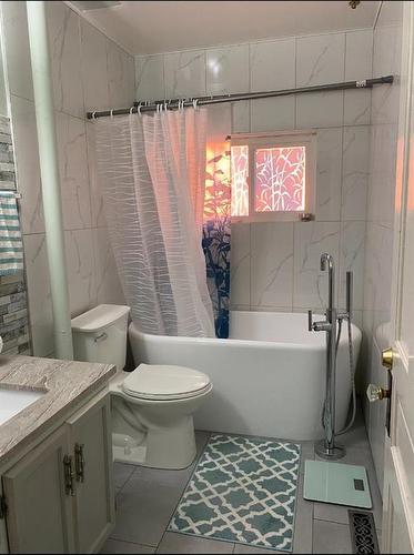 309 Railway Avenue, Rosemary, AB - Indoor Photo Showing Bathroom