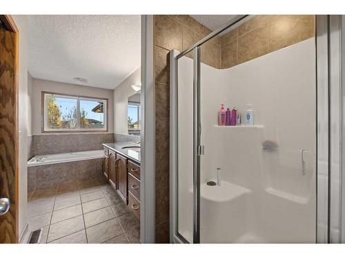 464 Sunset Link, Crossfield, AB - Indoor Photo Showing Bathroom