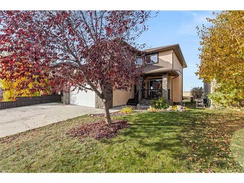 464 Sunset Link, Crossfield, AB - Outdoor