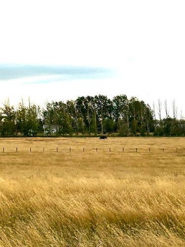 Aimoto Drive, Rural Newell, County Of, AB 