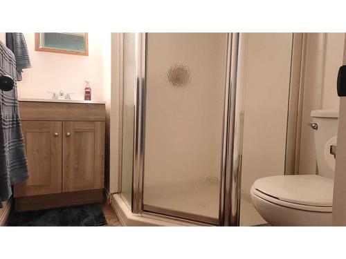 206 1 Avenue South, Morrin, AB - Indoor Photo Showing Bathroom