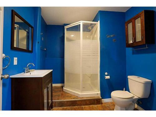 188 Upland Avenue West, Brooks, AB - Indoor Photo Showing Bathroom