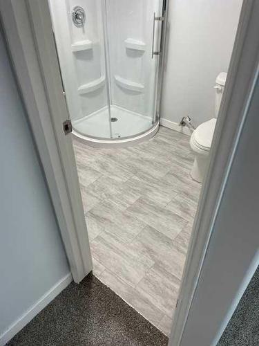 14 Spruce Drive, Drumheller, AB - Indoor Photo Showing Bathroom