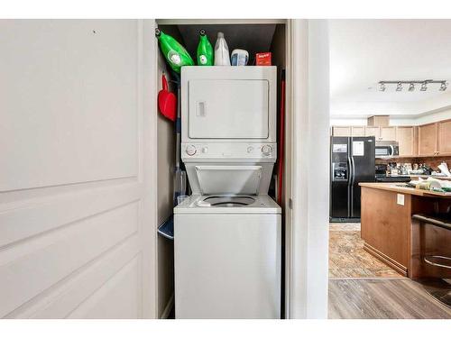 209-52 Cranfield Link Se, Calgary, AB - Indoor Photo Showing Laundry Room