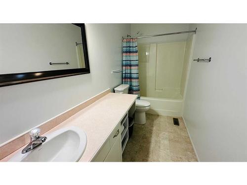 14-830 Birchwood Close, Drumheller, AB - Indoor Photo Showing Bathroom