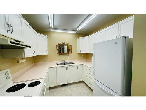 14-830 Birchwood Close, Drumheller, AB - Indoor Photo Showing Kitchen With Double Sink