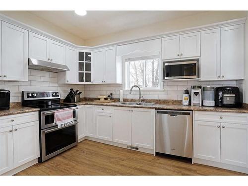 355 Lake Stafford Drive East, Brooks, AB - Indoor Photo Showing Kitchen With Double Sink