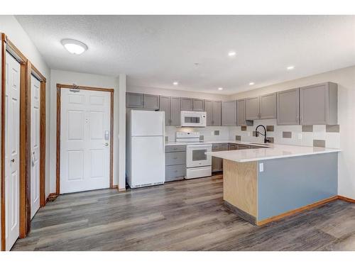 304-280 Riverside Drive East, Drumheller, AB - Indoor Photo Showing Kitchen