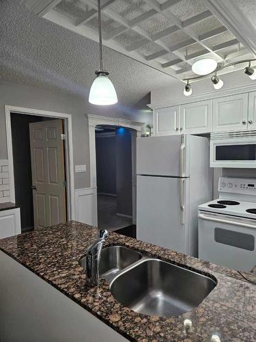 210-204 17 Street East, Brooks, AB - Indoor Photo Showing Kitchen With Double Sink