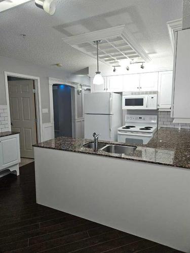 210-204 17 Street East, Brooks, AB - Indoor Photo Showing Kitchen With Double Sink