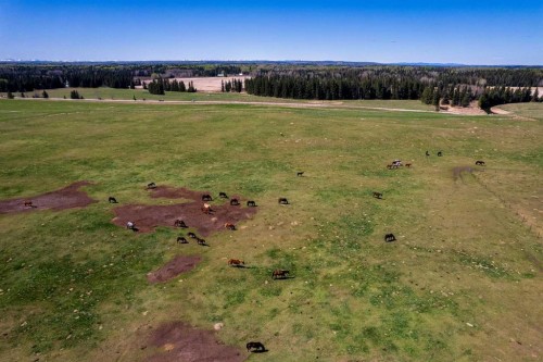 36033 Range Rd 40, Rural Red Deer County, AB 