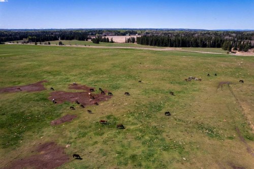 36033 Range Rd 40, Rural Red Deer County, AB 