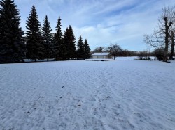 170 9 Street NW Drumheller, AB T0J 0Y1