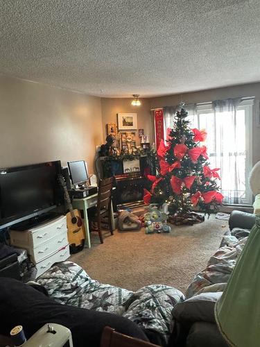 20-398 16 Street Ne, Medicine Hat, AB - Indoor Photo Showing Living Room