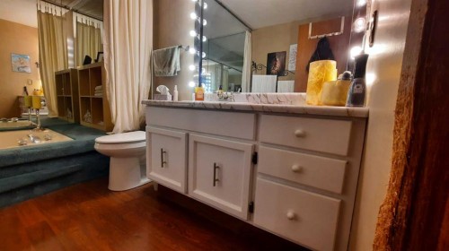 710 Bankview Close, Drumheller, AB - Indoor Photo Showing Bathroom