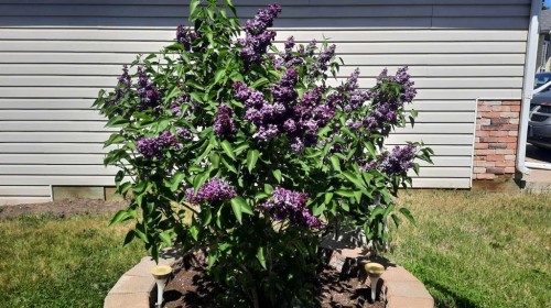 710 Bankview Close, Drumheller, AB - Outdoor With Exterior