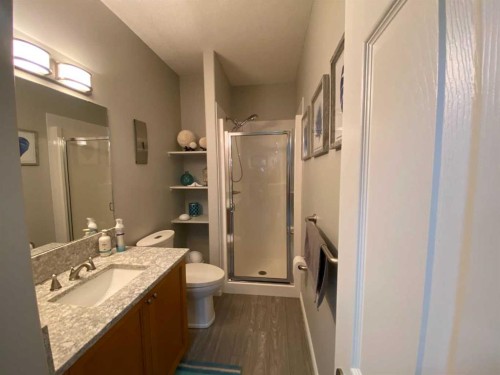 79 Park Place West, Brooks, AB - Indoor Photo Showing Bathroom