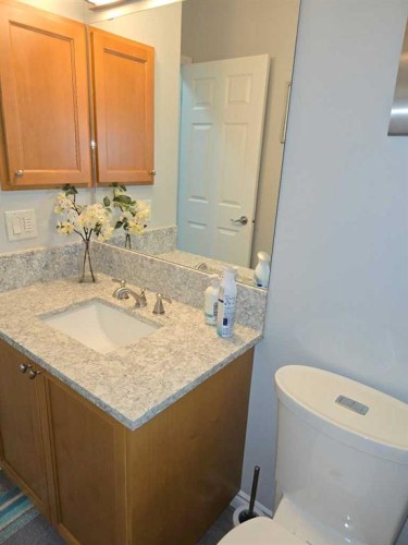 79 Park Place West, Brooks, AB - Indoor Photo Showing Bathroom