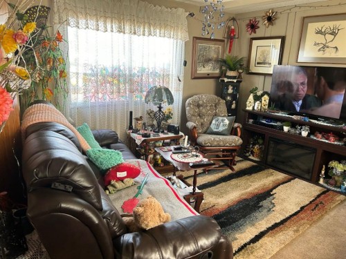 207 2 Avenue North, Morrin, AB - Indoor Photo Showing Living Room