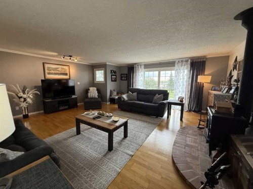 502 Fox Lake Trail, Hanna, AB - Indoor Photo Showing Living Room