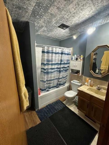 406 Fox Lake Trail, Hanna, AB - Indoor Photo Showing Bathroom